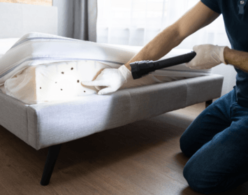 Ako sa zbaviť ploštíc? Všetko dôležité o plošticiach na jednom mieste