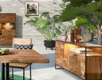 Veľké izbové rastliny, ktoré sa budú v dome dobre vynímať