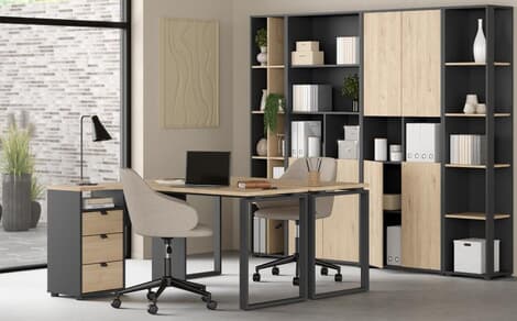 Pracovňa a kancelária