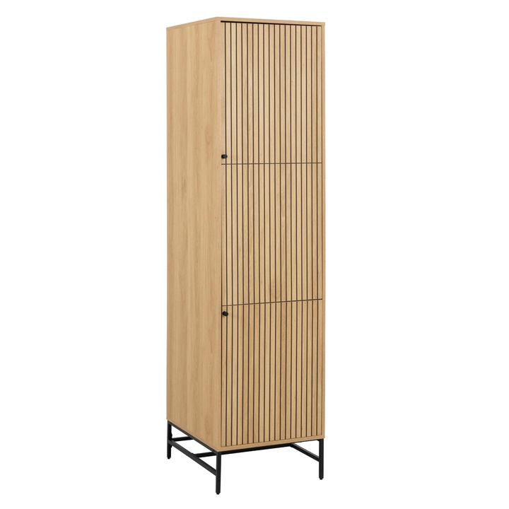 Šatníková skriňa ALBANY 51 dub/matná čierna 1