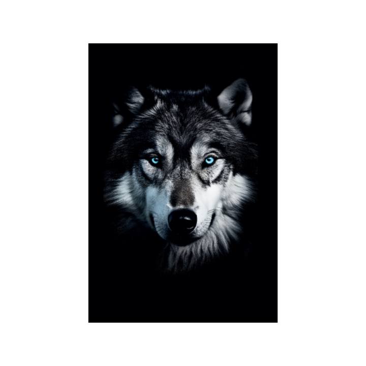 Obraz ANIMAL IX 60x90 cm 1