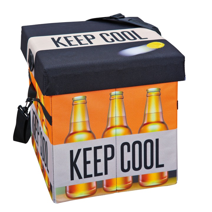 Skladací úložný box BEER viacfarebná 1