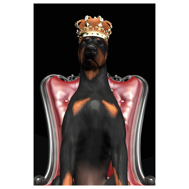 Obraz na skle DOGINCROWN 80x120 cm, viacfarebná 1