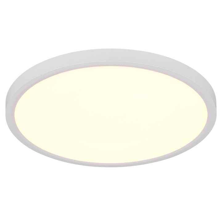 Stropné svietidlo DRACO 2 biela 1