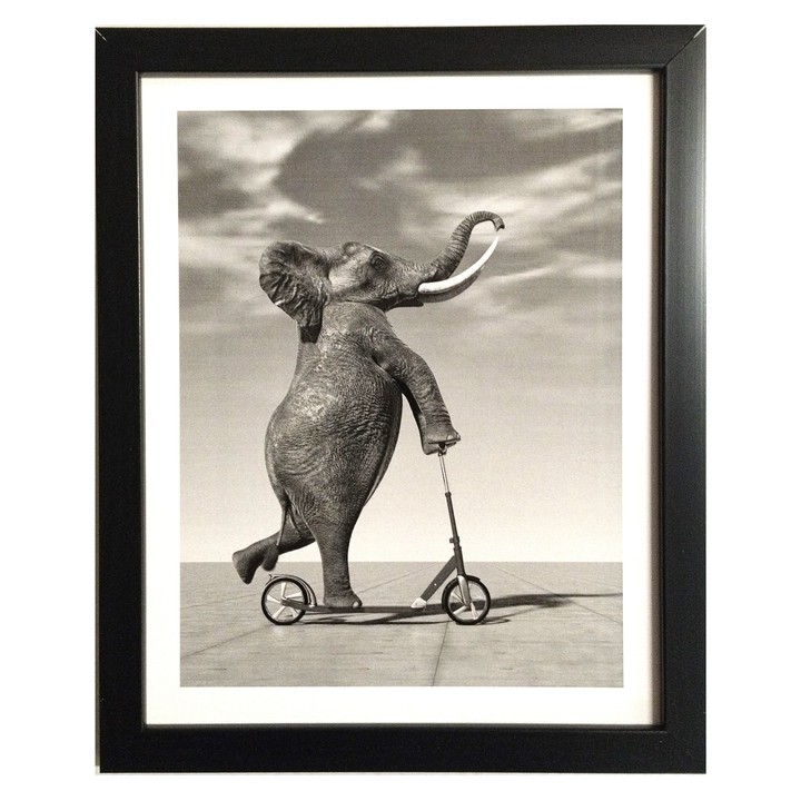 Fotografia v ráme ELECTA motív slon 1 1