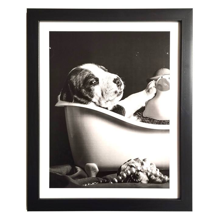 Fotografie v ráme ELECTA motív pes vo vani 1 1