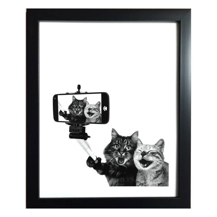 Fotografia v ráme ELECTA motív mačky 1 1