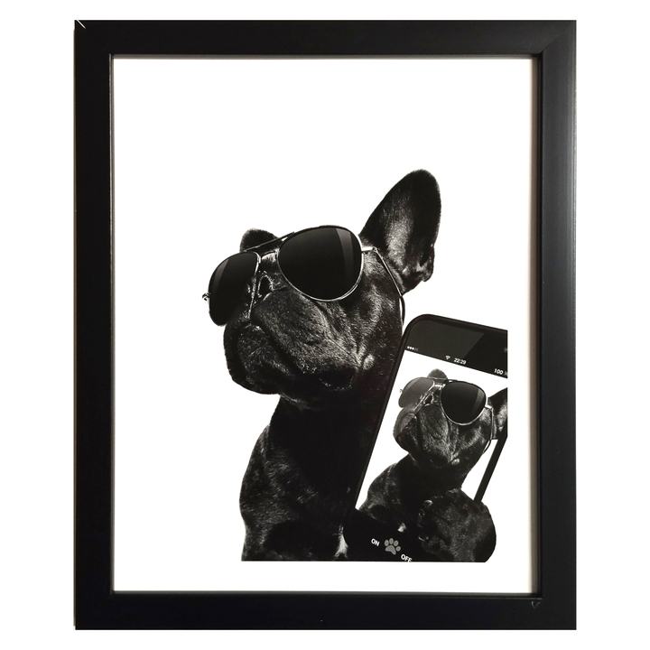 Fotografia v ráme ELECTA motív buldog 2 1