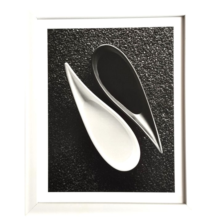 Fotografia v ráme ELECTA motív piesok 2 1