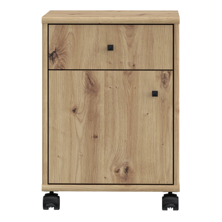 Kontajner ESTERIA dub artisan 1