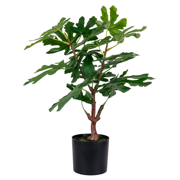 Umelá rastlina FIG zelená 1