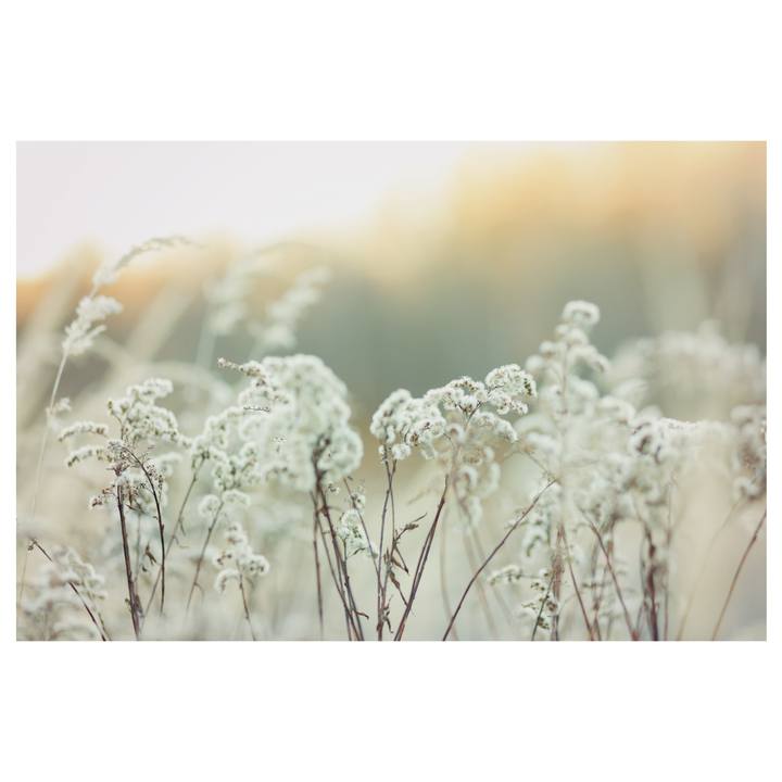 Obraz na plátne FLOWER XXXVII 50x120 cm 1