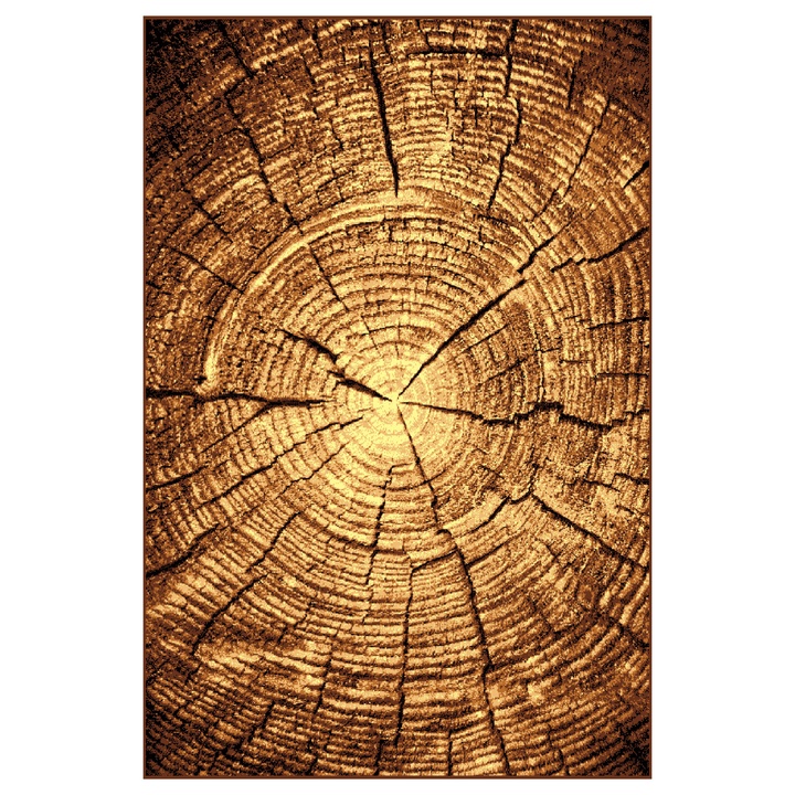 Koberec GOLD hnedý peň, 140x200 cm 1