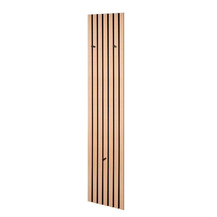 Predsieňový panel GRACE I dub artisan/čierna 1