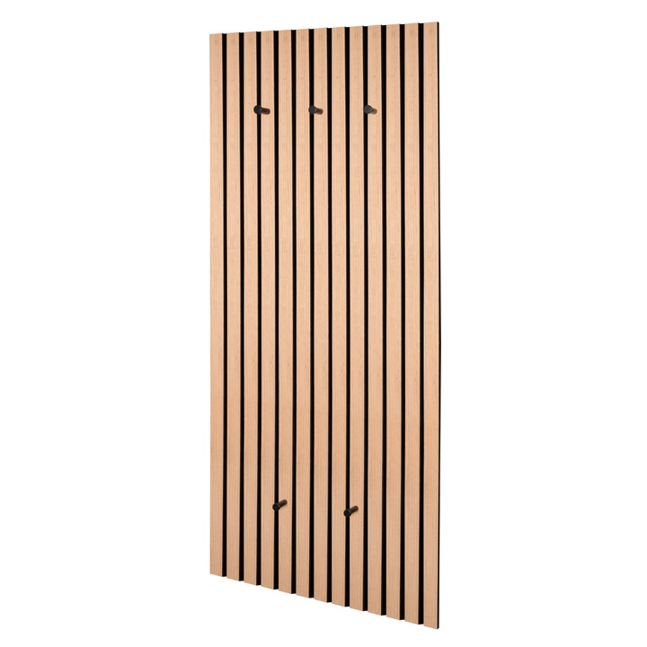Predsieňový panel GRACE II dub artisan/čierna 1
