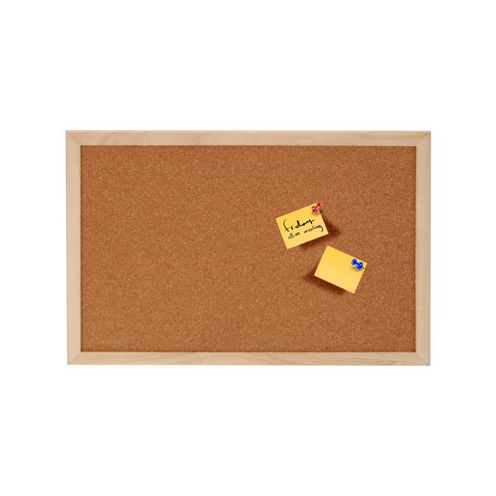 Nástenka KOROK prírodná 1