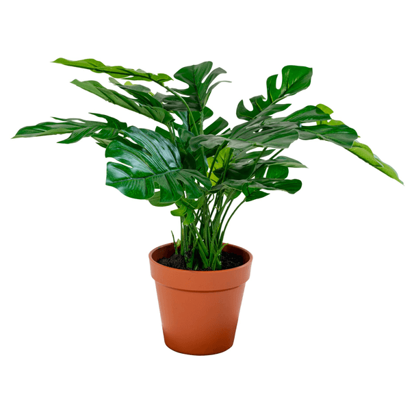 Umelý kvet MONSTERA II zelená 1