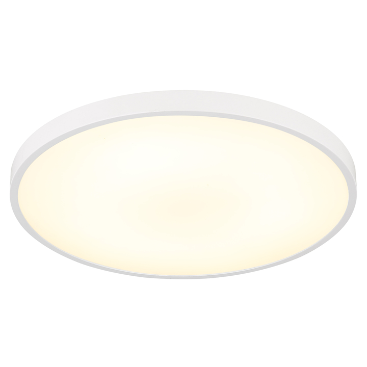 Stropné svietidlo NIELSEN biela, ⌀ 23 cm 1