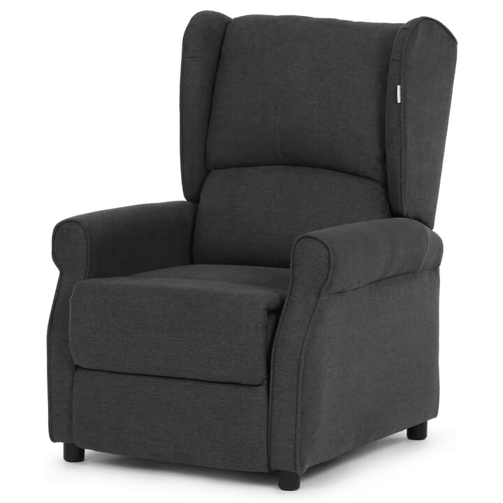 Relaxačné kreslo PINA sivá 1