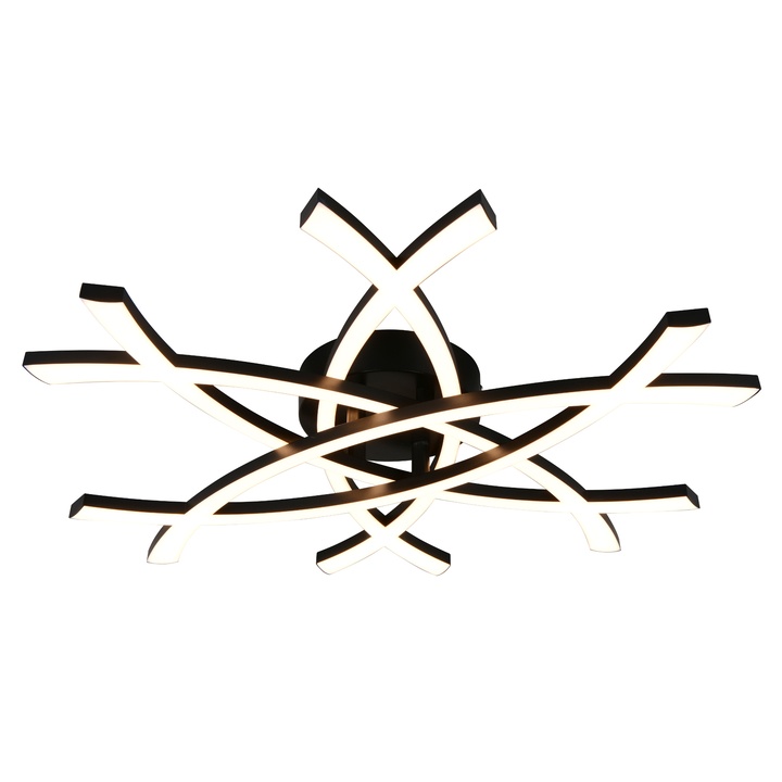 Stropné svietidlo POLLOCK 2 čierna/biela 1