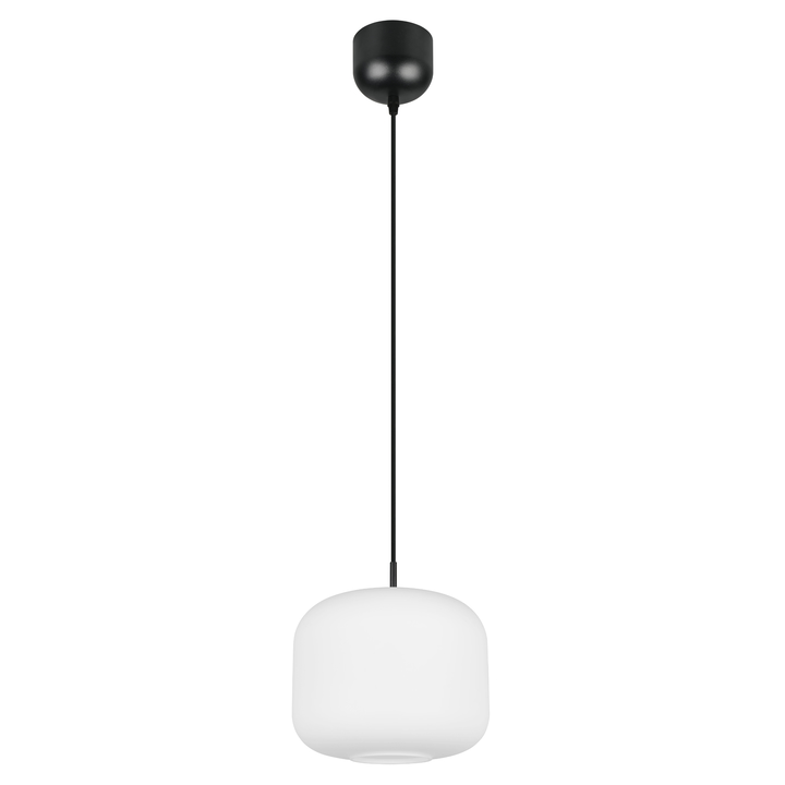 Závesné svietidlo SIGNE biela/čierna, priemer 25 cm 1