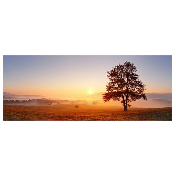 Obraz TREE II 150x50 cm 1