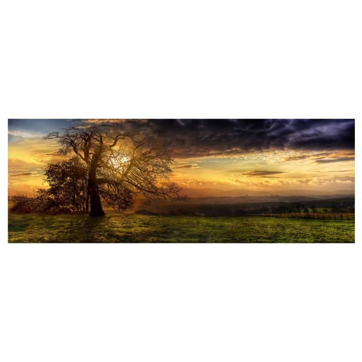 Obraz TREE IV 150x50 cm, motív strom v búrke 1