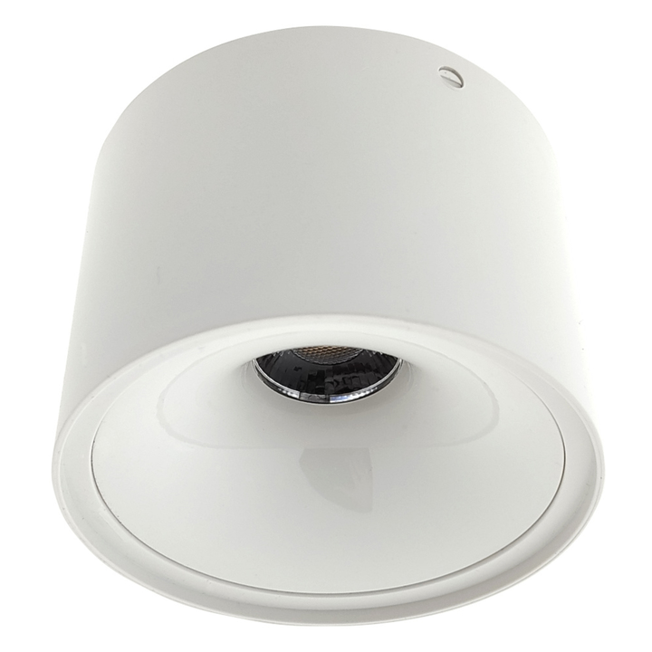 Stropné svietidlo TRIXLINE biela 1