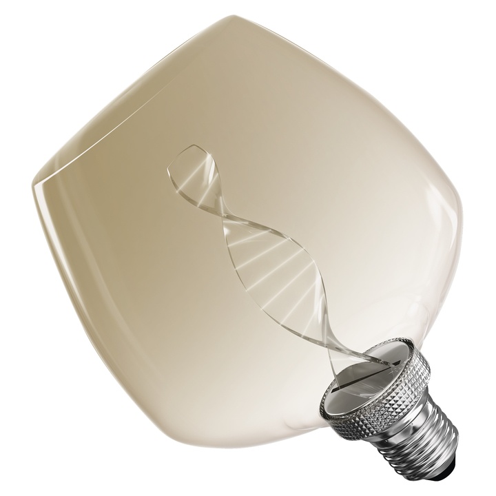 Dekoratívna LED žiarovka Z59D01 E27, 3,5W, teplá biela, hnedá 1