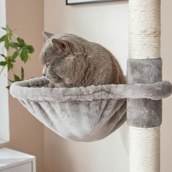 Škrabadlo pre mačky ACADEMIA svetlosivá 4