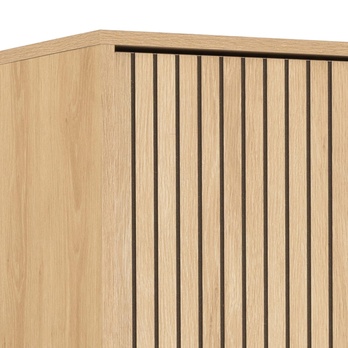 Šatníková skriňa ALBANY 51 dub/matná čierna 4