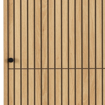 Šatníková skriňa ALBANY 51 dub/matná čierna 5