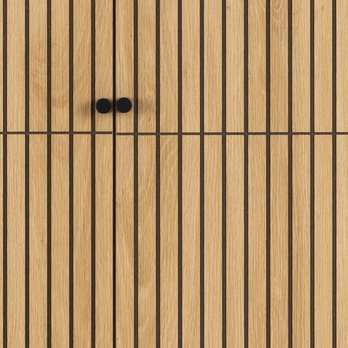 Šatníková skriňa ALBANY 99 dub/matná čierna 5