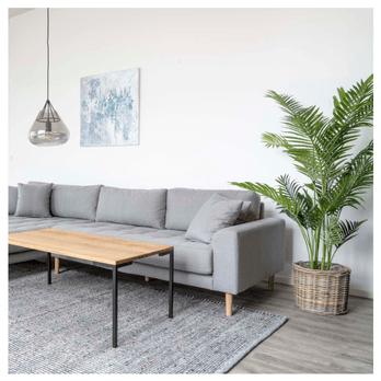 Umelá rastlina ARECA zelená 1