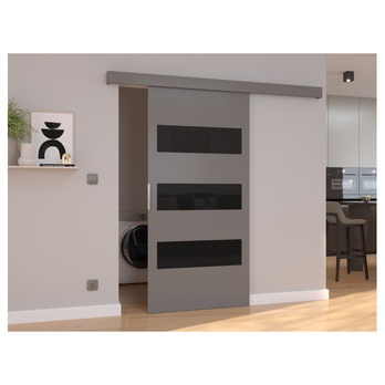 Posuvné dvere ARES 76 sivá/čierna, 76x205 cm 1