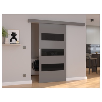 Posuvné dvere ARES 86 sivá/čierna, 86x205 cm 1