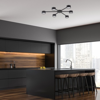 Stropné svietidlo AVIA čierna 2