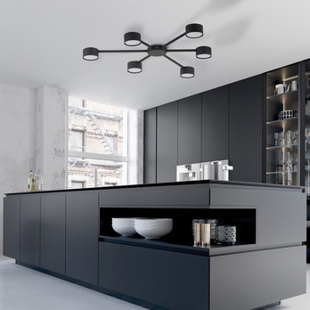 Stropné svietidlo AVIA čierna 1