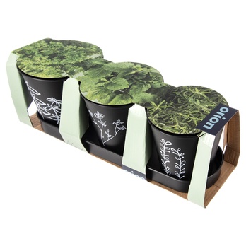 Súprava kvetináčov na bylinky BLACK čierna, 3 ks 3