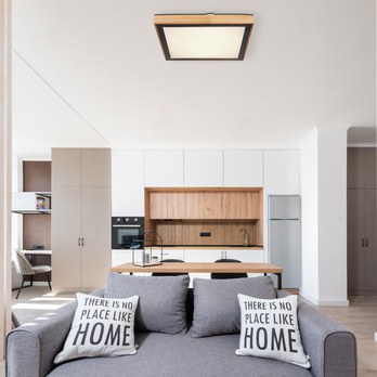 Stropné svietidlo BRUNO čierna/drevo 1