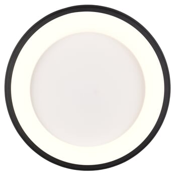 Stropné svietidlo CARDONA čierna, priemer 46,5 cm 5
