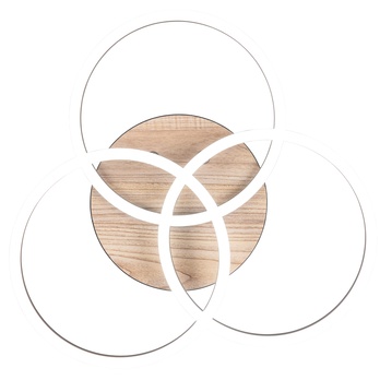 Stropné LED svietidlo CIRCLE čierna/prírodná 11