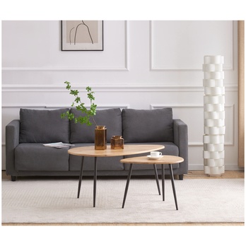 Konferenčný stolík CREMONA 1 dub divoký/čierna 1