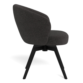 Jedálenská stolička DARLENE antracitová/matná čierna 5