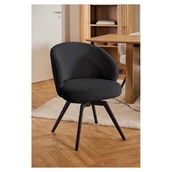 Jedálenská stolička DARLENE antracitová/matná čierna 9