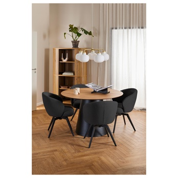 Jedálenská stolička DARLENE antracitová/matná čierna 10