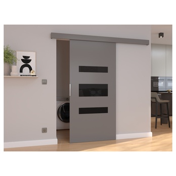 Posuvné dvere DESIO 106 sivá/čierna, 106x205 cm 1