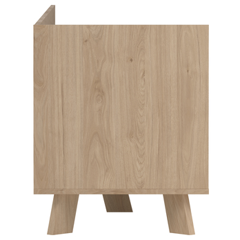 TV komoda DIGBY 1 biela/dub jackson hickory 6