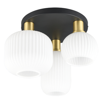 Stropné svietidlo DIVA čierna/biela 2