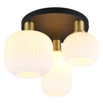 Stropné svietidlo DIVA čierna/biela 3